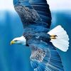 brian.eaton78