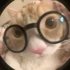 sqwazer1