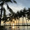lily_22485