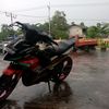 donirada88
