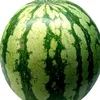 arbyz1355134417824