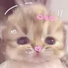 k1tty_8