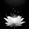 _qnghia_