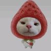 syaa_matcha123