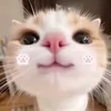 d.quynh769