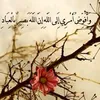 user92587507459191