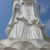 v.vn.lnh4