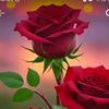 user4471673539530