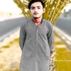 hamid.ali.malik0