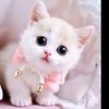 rima77697