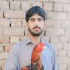 qayum.niazi