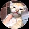 peduli.apa.gua8