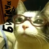 bitohsa0