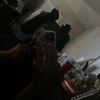 it.paige7
