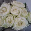 najjabtxeys