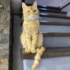 Cat Go London