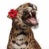 hello_12690