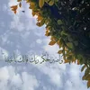 ddffcvg