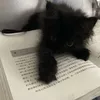 ︎