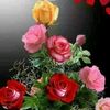 priyantha.adhikar