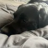 harleysmithy27