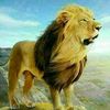 user30092272177715