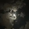 xiioe_0