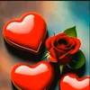 alimohmed12345678