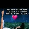 tigest8319