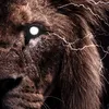 kingisback0.4
