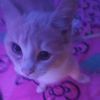 itsmebaylee7