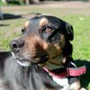 hector67807