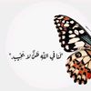 abed.7amoi2