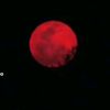 yudit.mora8