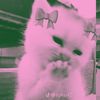 navzz_1404