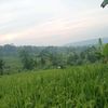 anakjabar28