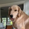 walterbambambarker