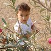 khushimohammad755