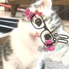 urllove_girl4