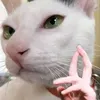 minlaboi