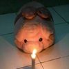.ithaci66