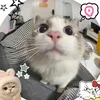 ...tiktok.com30