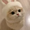 ngoc.van219