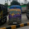 purple_genks