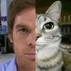 dexter_miami2000