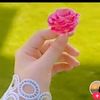 86_zayya