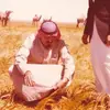 omromr252