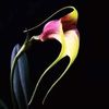 abdi.aziiz.abdall8