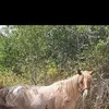 djuneyt.mehmed6