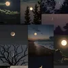 rrttyyui17